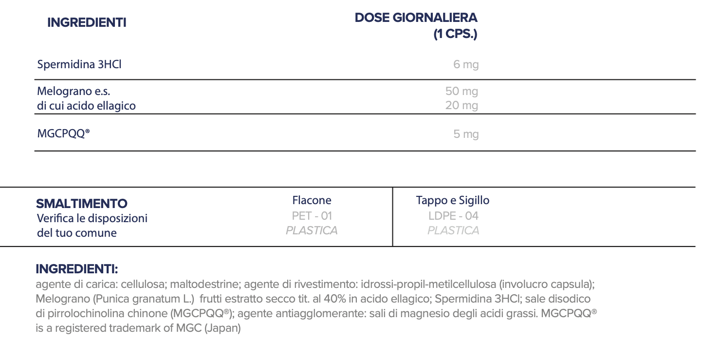 N.12 | SPERMIDINA, MGCPQQ® e MELOGRANO